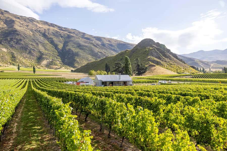 Queenstown: Original Premium Half-Day Gibbston Wine Tour - Practical tips for a better afternoon