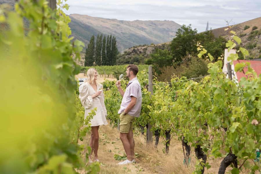 Queenstown: Original Premium Half-Day Gibbston Wine Tour - First two tastings: time to compare, not just sample