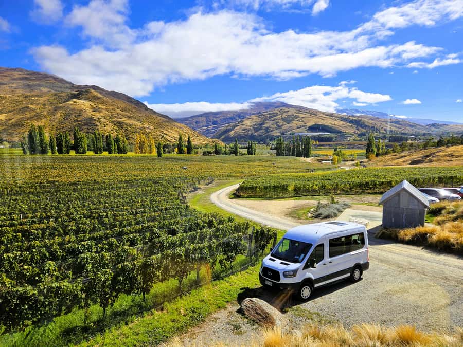 Queenstown: Premium Full-Day Central Otago Wine Tasting Tour - Carrick Winery and the one-hour lunch break