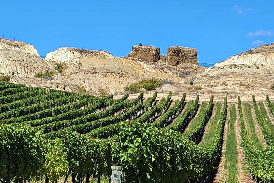 Queenstown: Premium Full-Day Central Otago Wine Tasting Tour - The guide adds the local context