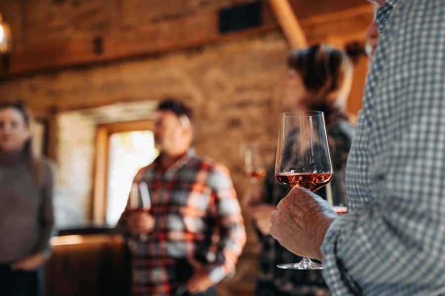 Queenstown: Premium Full-Day Central Otago Wine Tasting Tour - Booking details worth knowing