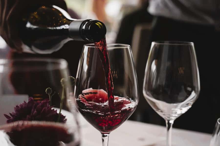 Queenstown: Premium Full-Day Central Otago Wine Tasting Tour - From Camp Street to Gibbston Valley