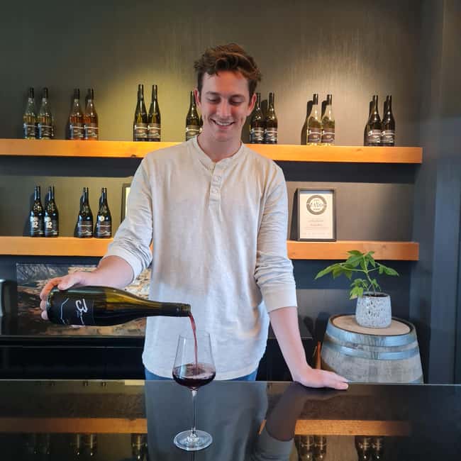 Queenstown: Premium Wine Tasting Tour - Scenery, pacing, and the value of a small group