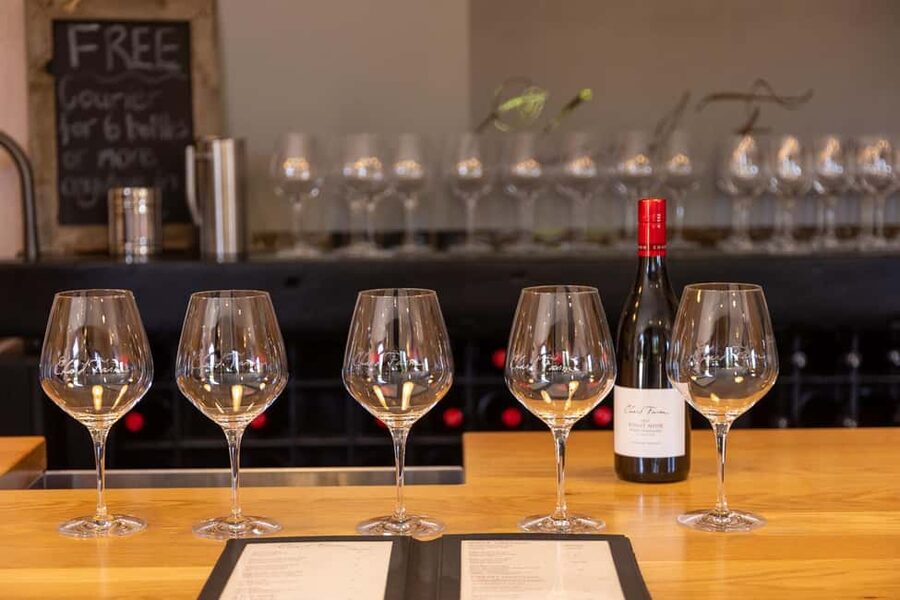 Queenstown: Premium Wine Tasting Tour - Cancellation and practical planning