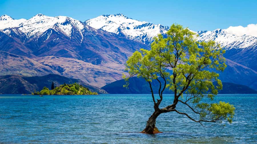 Queenstown: Private Day Trip to Wanaka, Arrowtown & More - Crossing the Crown Range