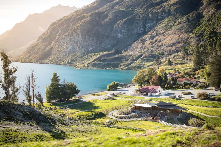 Queenstown: Queenstown Lake Cruise and Walter Peak Farm Tour - Afternoon tea in a peaceful farm setting