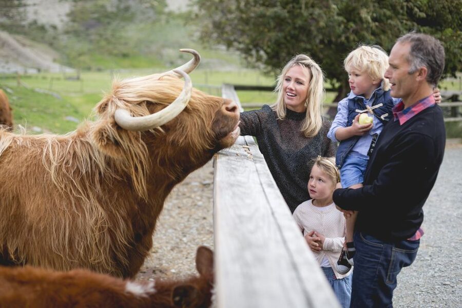 Queenstown: Queenstown Lake Cruise and Walter Peak Farm Tour - How good is the value at $80, $135, or $155?