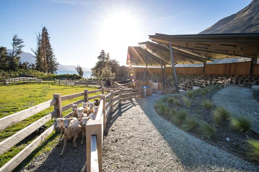 Queenstown: Queenstown Lake Cruise and Walter Peak Farm Tour - Who will enjoy this most?