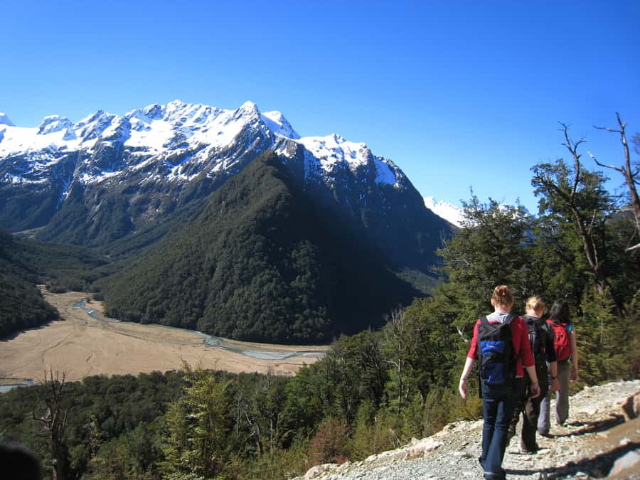 Queenstown: Routeburn Track Guided Full-Day Walk or Half Day - Key points to know before you book
