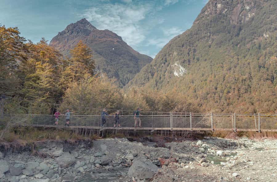 Queenstown: Routeburn Track Guided Full-Day Walk or Half Day - Beech forest, river bridge, and open mountain views
