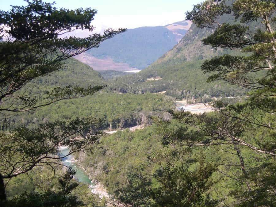 Queenstown: Routeburn Track Guided Full-Day Walk or Half Day - Is $152 a fair price?