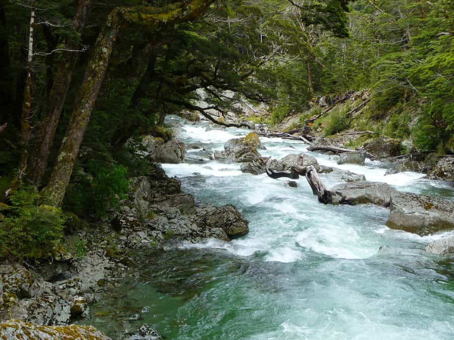 Queenstown: Routeburn Track Guided Full-Day Walk or Half Day - The drive from Queenstown to the Routeburn