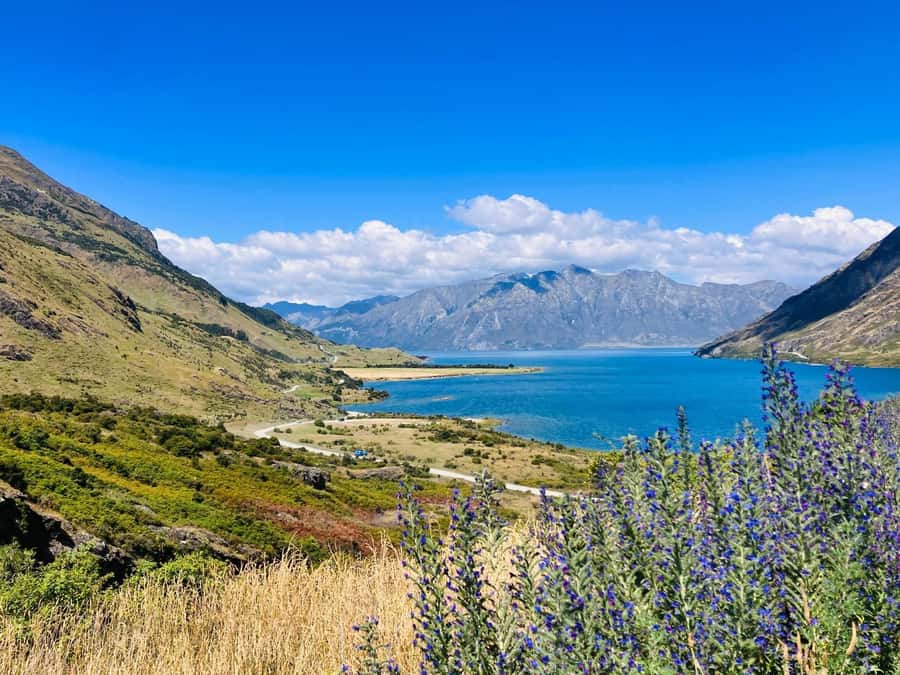 Queenstown to Christchurch via Franz Josef 2-Day Tour - Day two: Hokitika Gorge and the West Coast towns