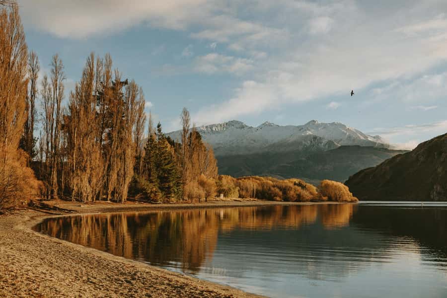 Queenstown to Christchurch via Franz Josef 2-Day Tour - Is $346 good value?