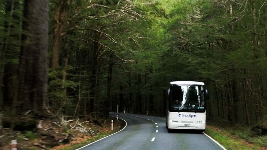 Queenstown to Franz Josef Day Tour - A morning tea pause at your own expense