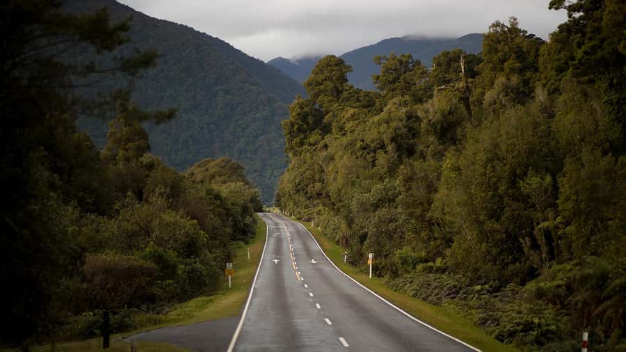 Queenstown to Franz Josef Day Tour - Crossing Haast Pass through native forest