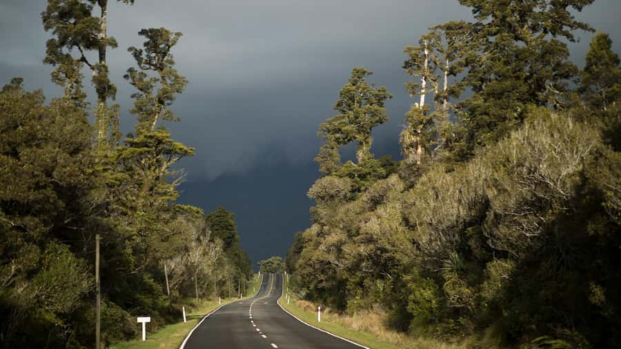 Queenstown to Franz Josef Day Tour - The rugged West Coast and its rock beaches