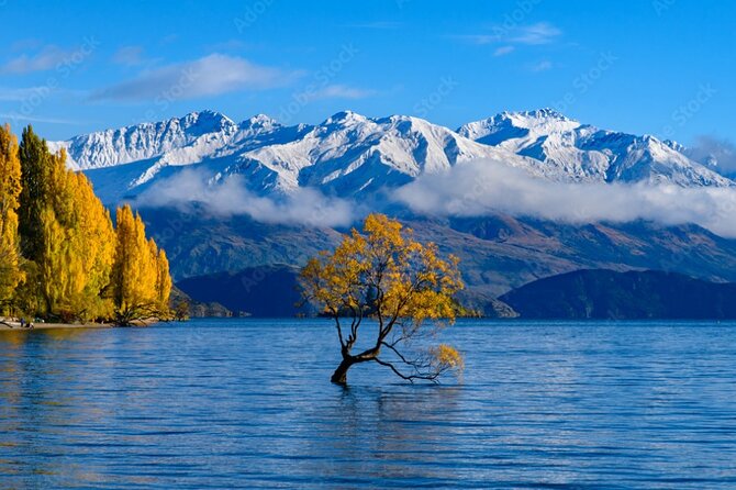 Queenstown to Franz Josef via Wanaka Small Group Day Tour (1-Way) - Lake Hāwea and the Clutha River