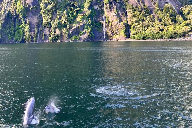 Queenstown to Te Anau via Milford Sound inc Cruise & Lunch - A smaller boat makes Milford Sound better