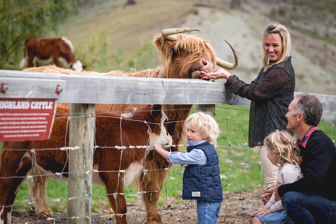 Queenstown: Walter Peak Farm Tour and Lake Cruise - Key details at a glance