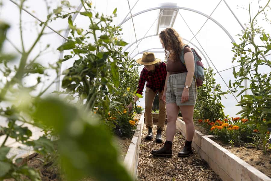 Queenstown: Walter Peak Garden to Table Experience - A practical look at the full schedule