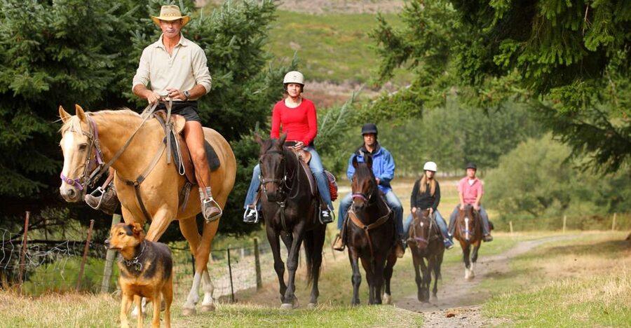 Queenstown: Walter Peak Horse Trek & Queenstown Lake Cruise - Why this outing works so well in Queenstown