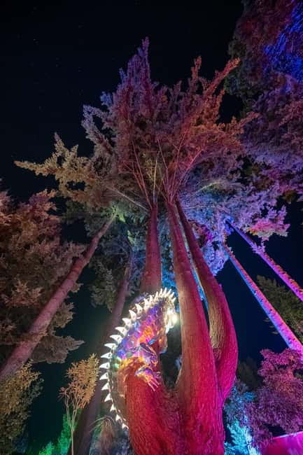 Queenstown: Whimsical Sensory Night Walk at LUMA Enchanted - What the night walk feels like