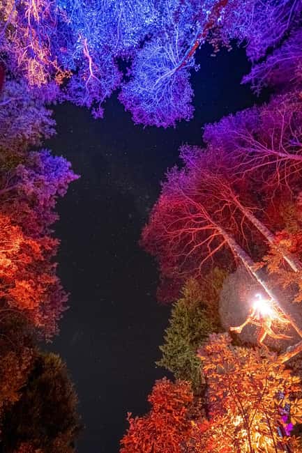 Queenstown: Whimsical Sensory Night Walk at LUMA Enchanted - New Zealand artists, wildlife, and local character