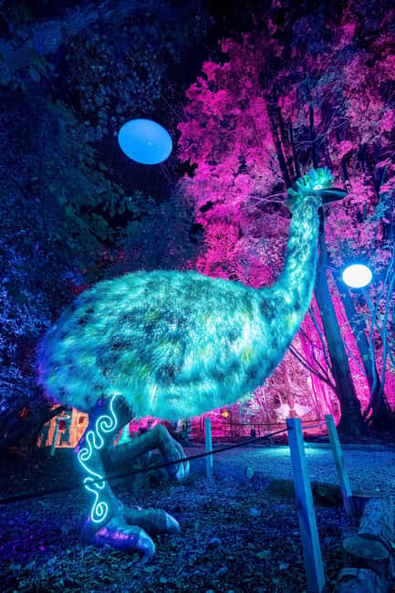Queenstown: Whimsical Sensory Night Walk at LUMA Enchanted - Treats and warm drinks after the cold sets in