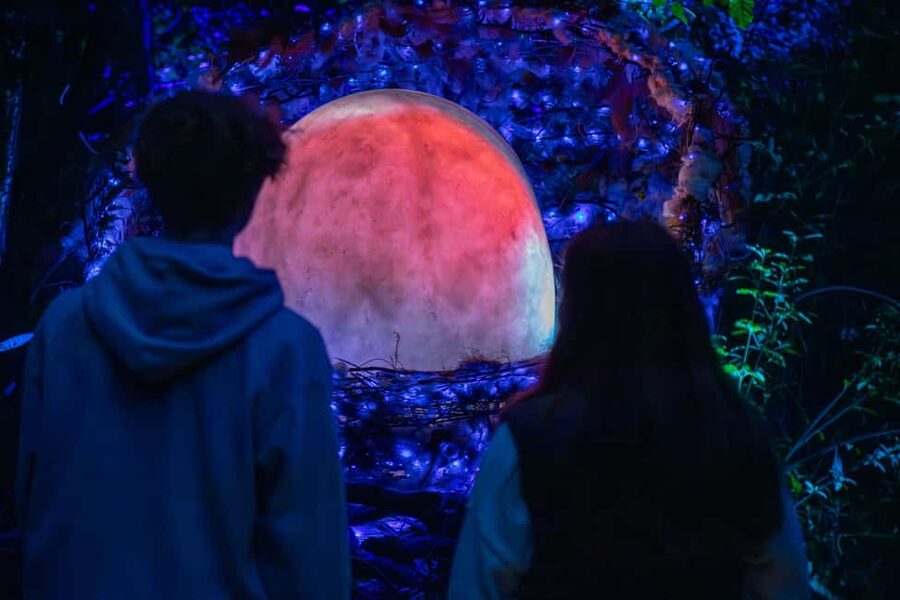 Queenstown: Whimsical Sensory Night Walk at LUMA Enchanted - Is $35 good value in Queenstown?