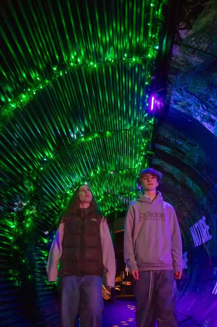 Queenstown: Whimsical Sensory Night Walk at LUMA Enchanted - Who will enjoy LUMA Enchanted most?
