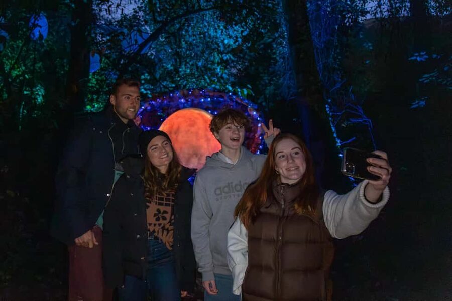 Queenstown: Whimsical Sensory Night Walk at LUMA Enchanted - LUMA compared with other Queenstown evenings