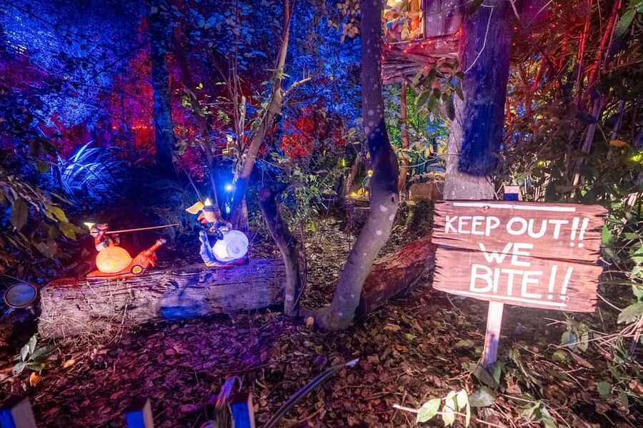 Queenstown: Whimsical Sensory Night Walk at LUMA Enchanted - Should you book LUMA Enchanted?