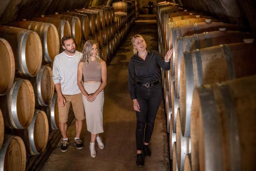 Queenstown: Wine & Food Tour, Scenic Tastings & Paired Lunch - Boutique wineries and the possible cave visit