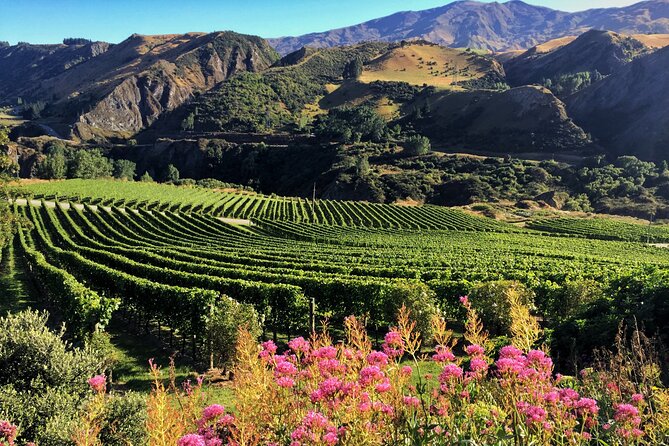 Queenstown Wine Tour - What the guides add to the experience
