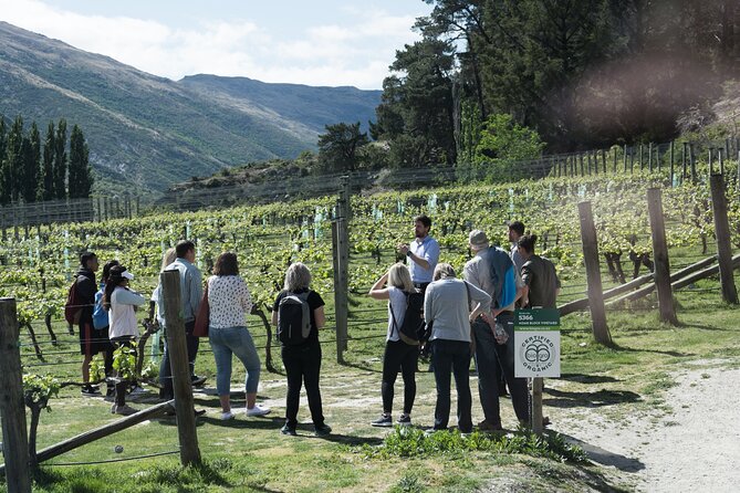 Queenstown Wine Tour - Gibbston Valley Cave | Kinross | Amisfield - A five-hour route through Gibbston Valley
