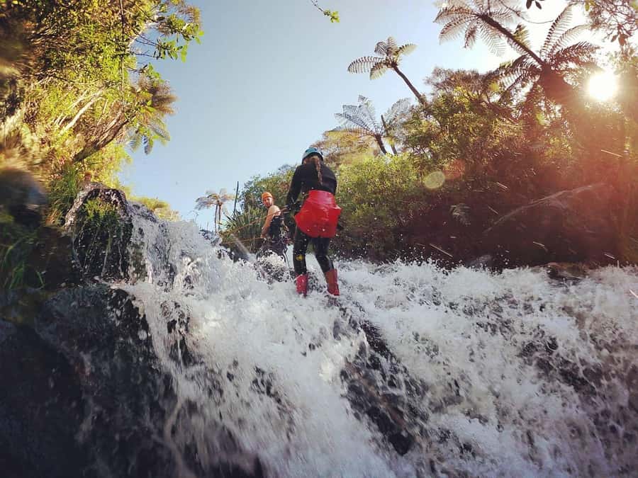 Raglan: Karioi Canyoning - The ten-minute ride to the canyon