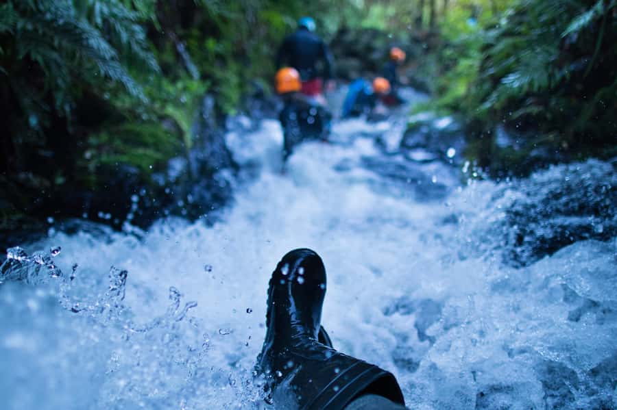 Raglan: Karioi Canyoning - Local ecology, bird calls, and Māori plant use