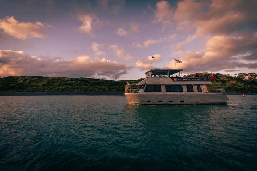 Raglan: Scenic Harbour Sunset Cruise - Music, drinks, and the tone on board