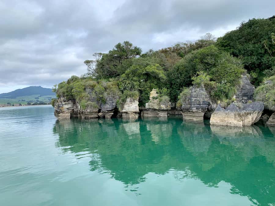 Raglan: Scenic Harbour Sunset Cruise - Who will enjoy this Raglan cruise most