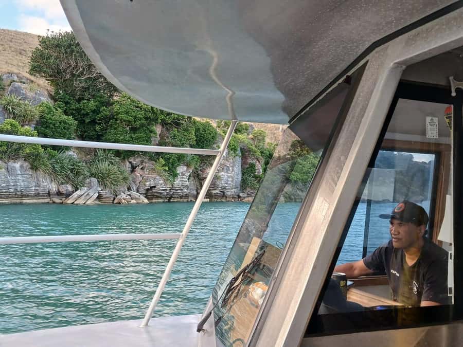 Raglan: Scenic Harbour Sunset Cruise - Booking and timing advice
