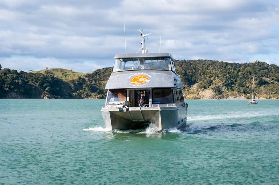 Raglan: Scenic Nature Boat Cruise - Key points to know before booking