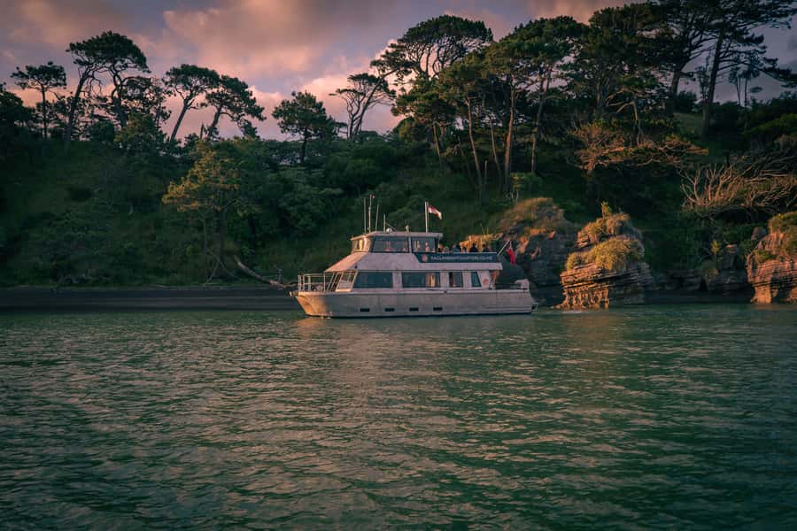 Raglan: Scenic Nature Boat Cruise - Pancake Rocks reveal Raglan’s old geology