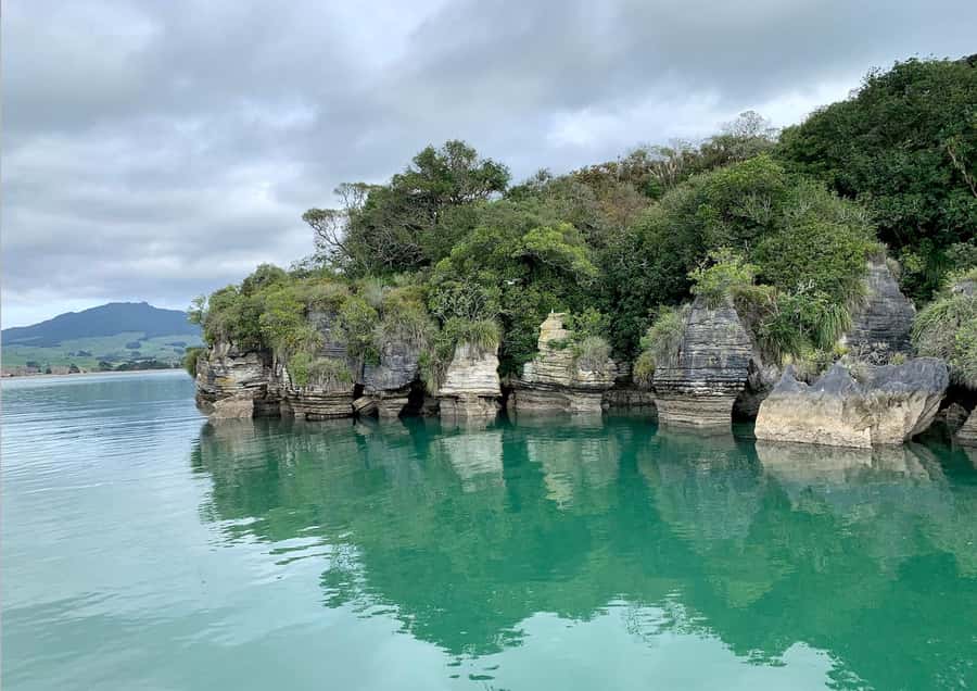 Raglan: Scenic Nature Boat Cruise - Ninety minutes across Whaingaroa Harbour