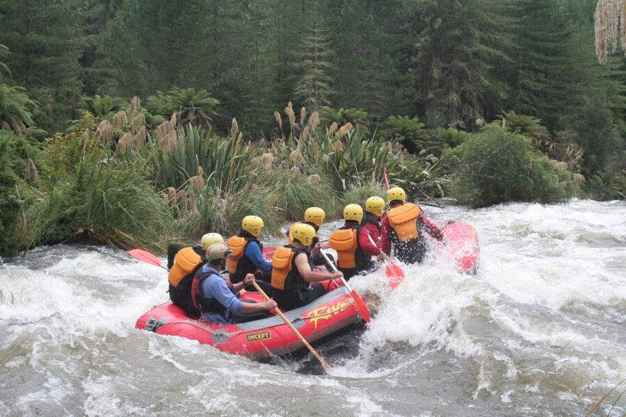 Rangitaiki Rafting Grade 3-4 - How much physical effort should you expect?