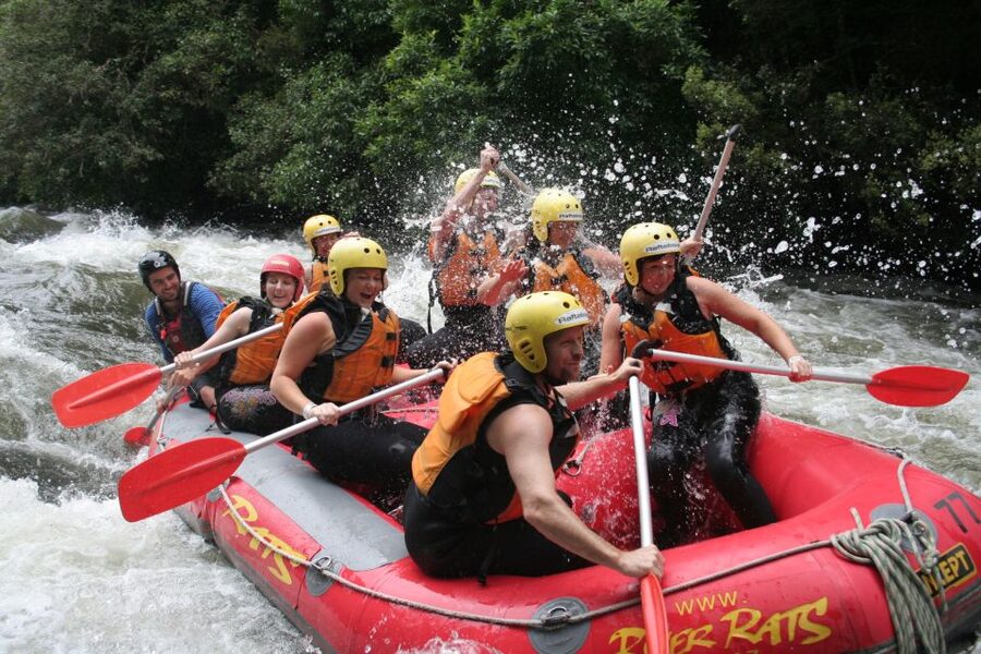 Rangitaiki Rafting Grade 3-4 - The river run, from gentle water to Geoff’s Joy
