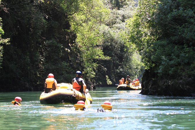 Rangitaiki River White Water Scenic Rafting from Rotorua - From Rotorua to Murupara Motor Camp