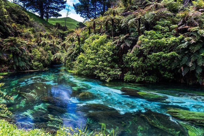 Redwood Forest , Blue Springs & Huka Falls Day Tour from Auckland - Huka Falls: a short walk with plenty of force