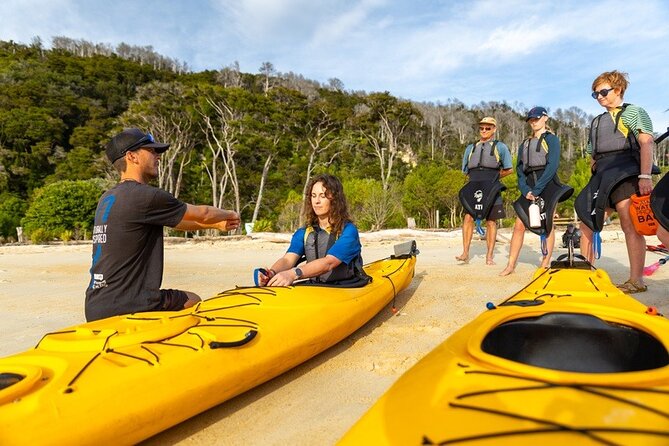 Remote Marine Reserve - Guided Kayaking - New Zealand - Tonga Island Marine Reserve and the fur seals