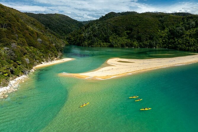 Remote Marine Reserve - Guided Kayaking - New Zealand - Is $220.30 a fair price?